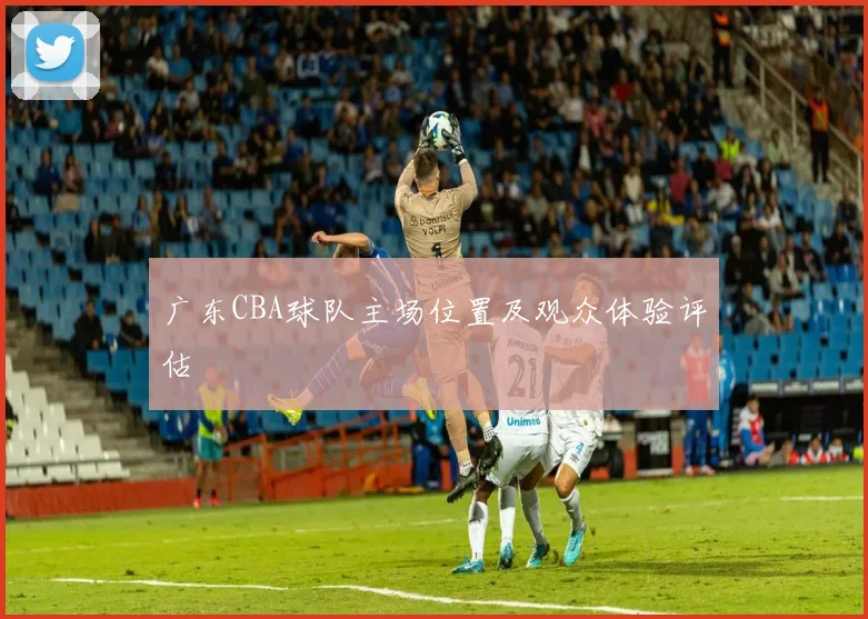 广东CBA球队主场位置及观众体验评估