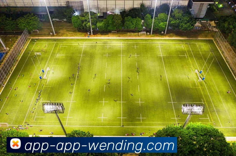 App Interface Preview